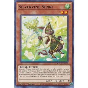 Thẻ bài Yugioh - TCG - Silvervine Senri / BACH-EN031'