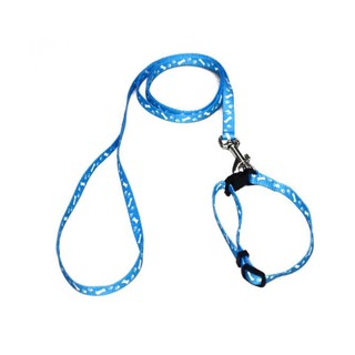 DÂY DẮT KÈM VÒNG CỔ 1 LỚP DÀNH CHO CHÓ MÈO