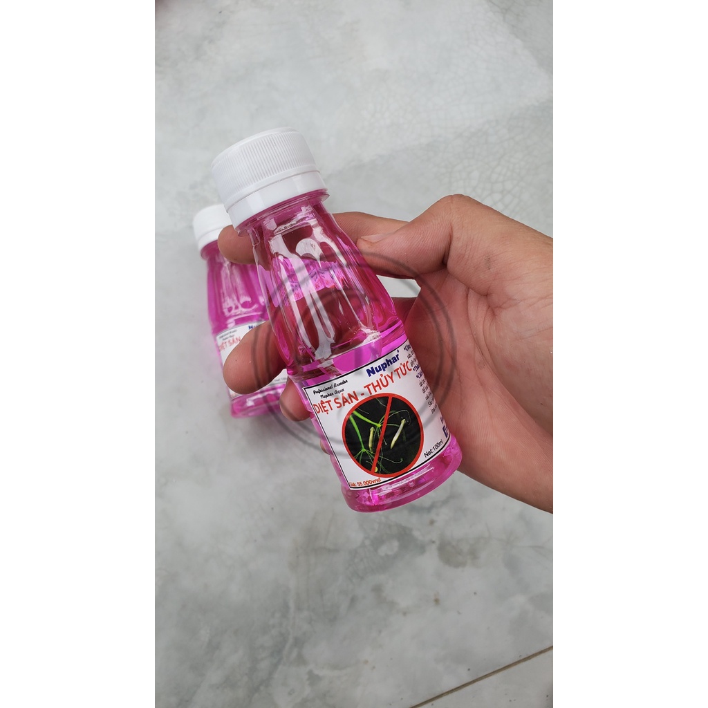 Diệt sán, thủy tức hồ thủy sinh Nuphar
