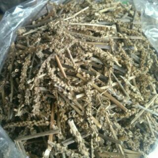 100g bông má đề