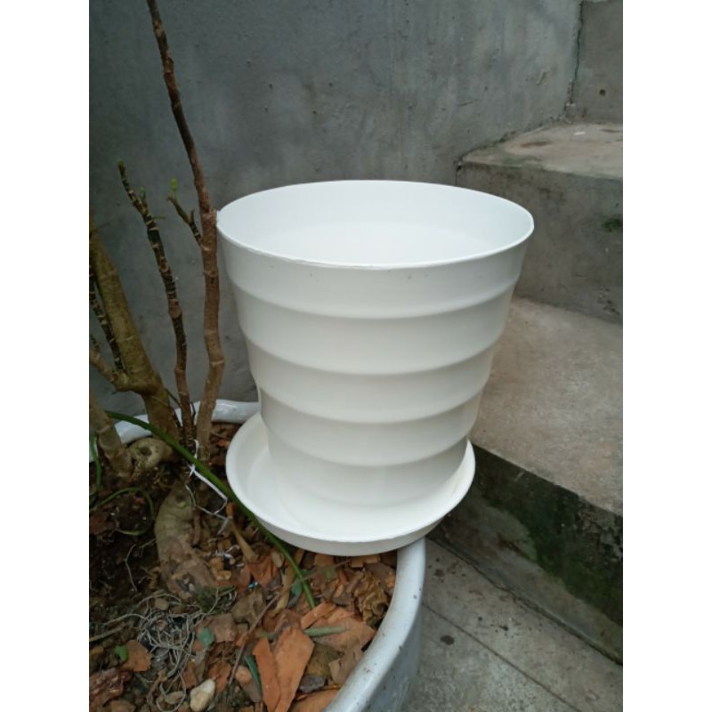 5 cái chậu tròn kèm đĩa đường kính 21cm x23cm