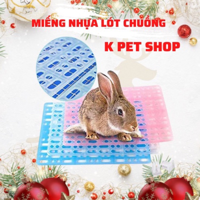 Tấm Lót Chuồng Nhựa 🐶 FREE SHIP 🐶 Chống Đau Chân cho Guinea Pig , thỏ ....