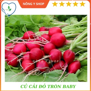 Hạt giống Củ cải đỏ tròn Baby Rạng Đông