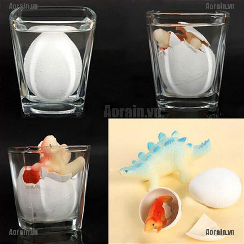 Trứng Khủng Long Expanded Độc Đáo