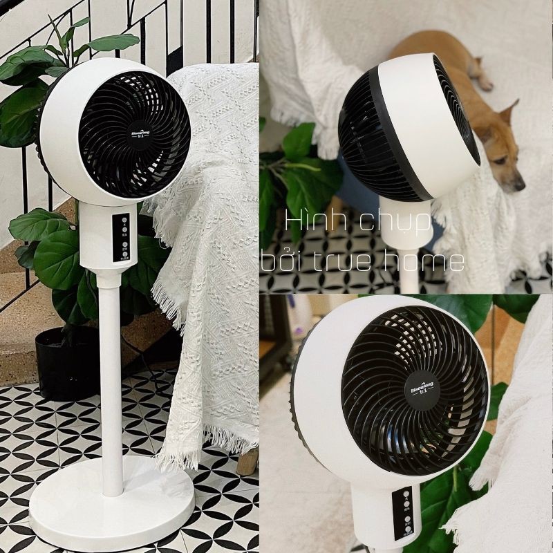 Quạt Điều Khiển Từ Xa Remote Điều Hòa Cây Đứng Hiện Đại Sang Trọng Chính Hãng Vhitek BiaoWang Bảo Hành 1 Năm