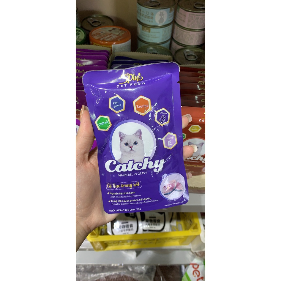 Pate cho mèo Catchy 5 Plus thơm ngon đủ vị 70g
