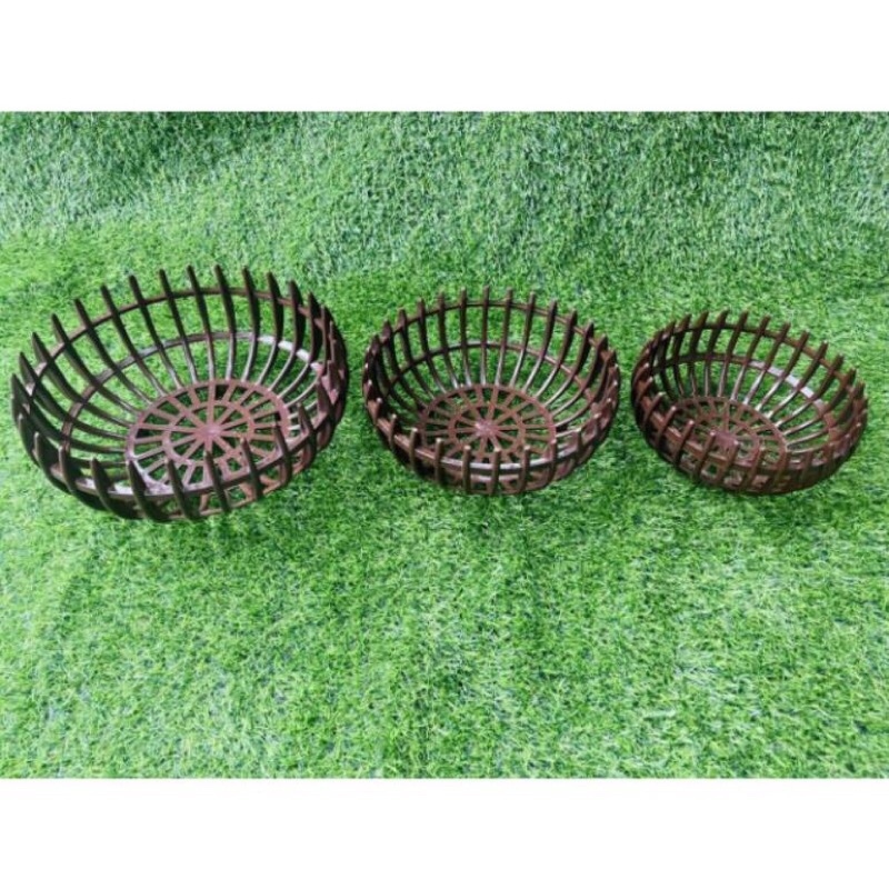 Giảm giá -  HẠT GIỐNG HOA ĐỒNG TIỀN MIX F1- Loài Hoa May Mắn, Nhiều Tài Lộc, hàng sẵn