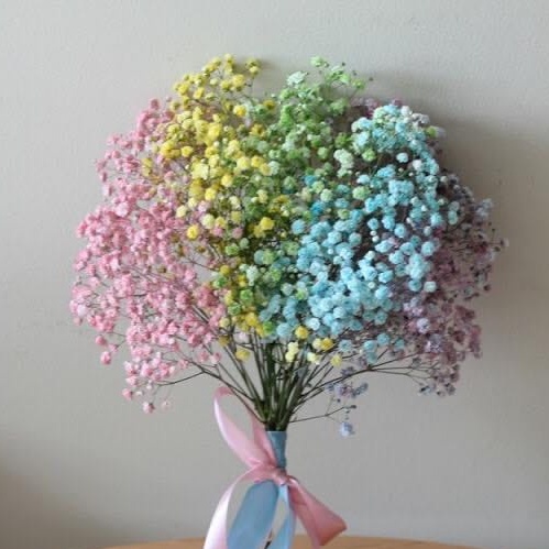 Cành lẻ Hoa bi khô decor,  Hoa thật sấy khô tông  màu pastel vintage trang trí nhà cửa