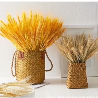 (Mua 10 tặng 1) BÓ LÚA MẠCH KHÔ, mộc mạc, phụ kiện decor, chụp ảnh đẹp