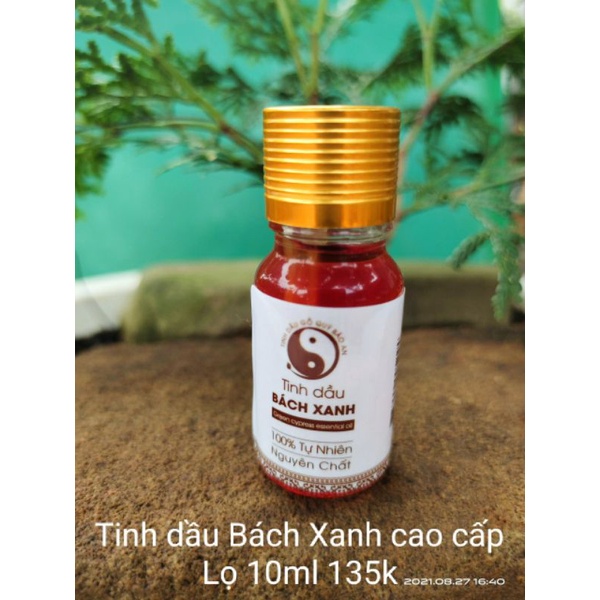 Tinh dầu gỗ Bách Xanh cao cấp 100% nguyên chất lọ 10ml