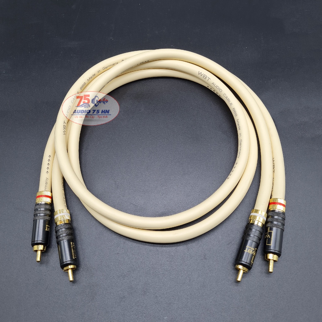01 cặp dây tín hiệu âm thanh WBT - 888 cao cấp của Đức Dây AV / RCA dài 1M