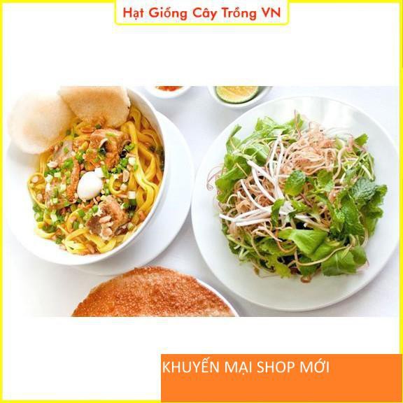 Hạt giống Cải Bẹ Xanh Mỡ Ăn Non Dễ Trồng, Nhanh Thu Hoạch - Gói 20 Gram khuyến mại shop mới