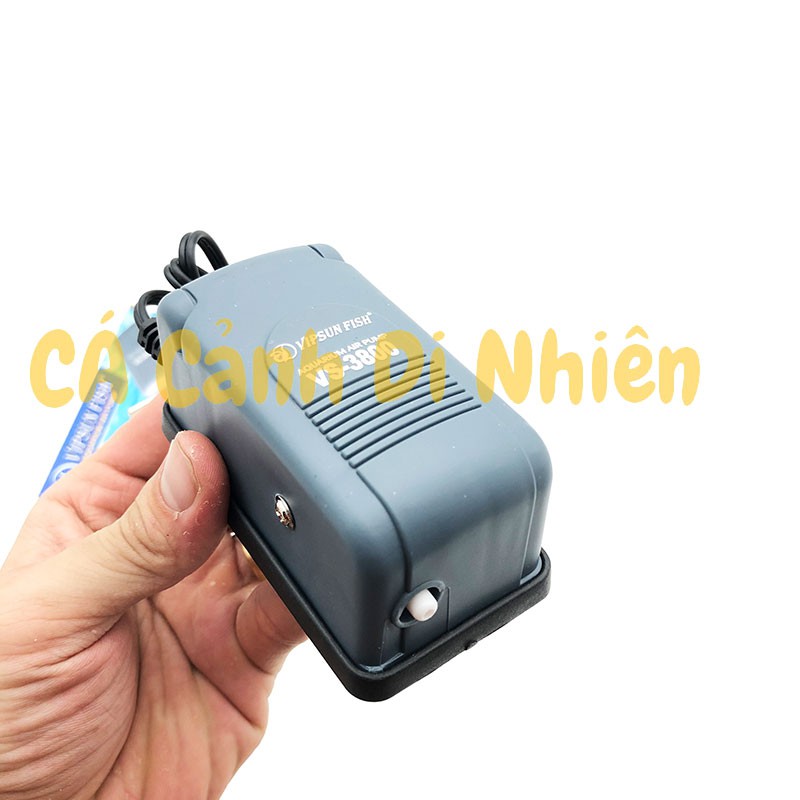 Máy sục sủi khí oxy 1 vòi 2.5W VIPSUN VS-3800 cho hồ cá VS 3800