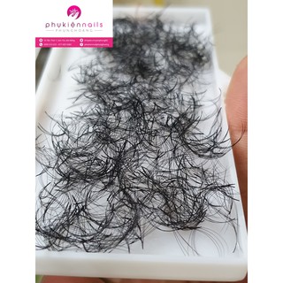 Mi Fan Tay, Mi Nối Fan 4D 1000 fan/hộp, Mi 4D Độ Cong CC/0.07