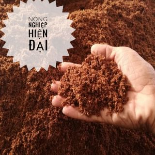 Mụn Xơ dừa xử lý