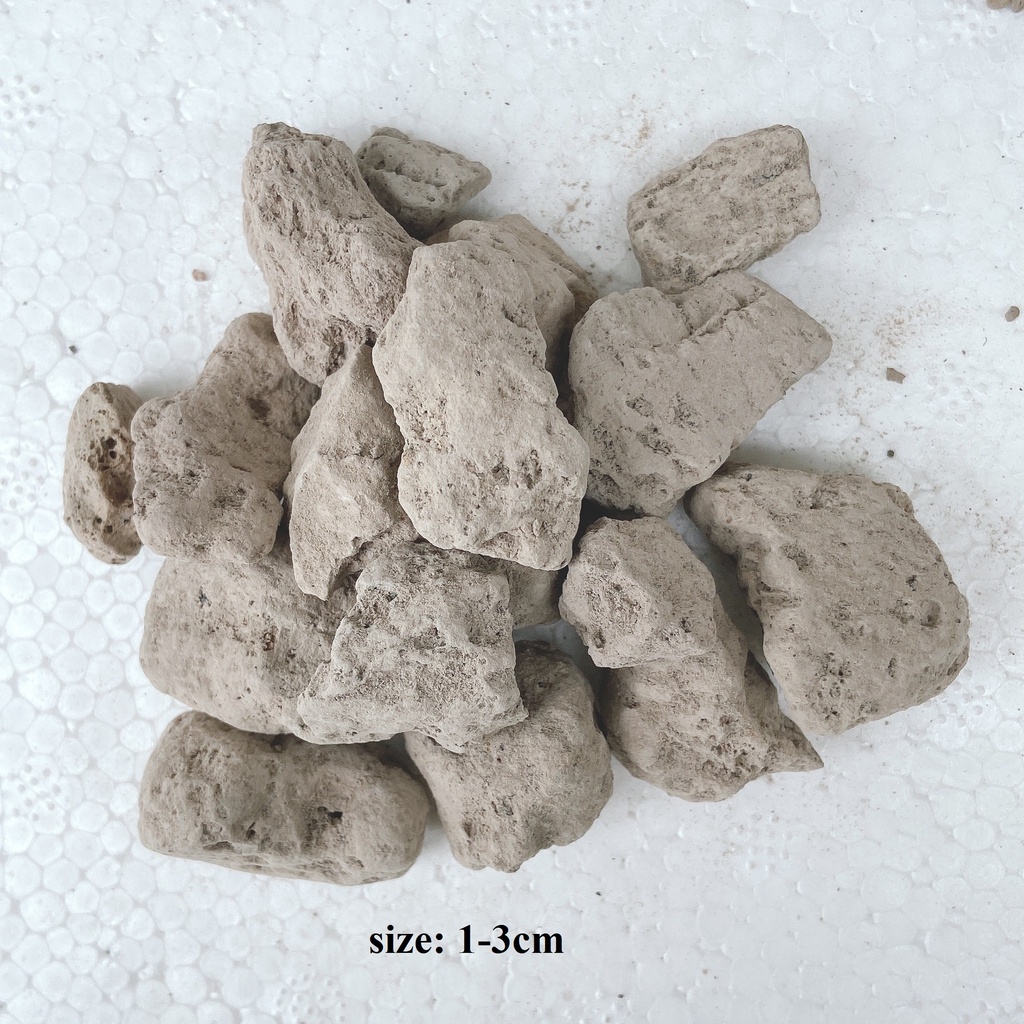 Đá Pumice, đá bọt nhiều kích thước trồng lan, tiểu cảnh Terrarium giúp thoát nước