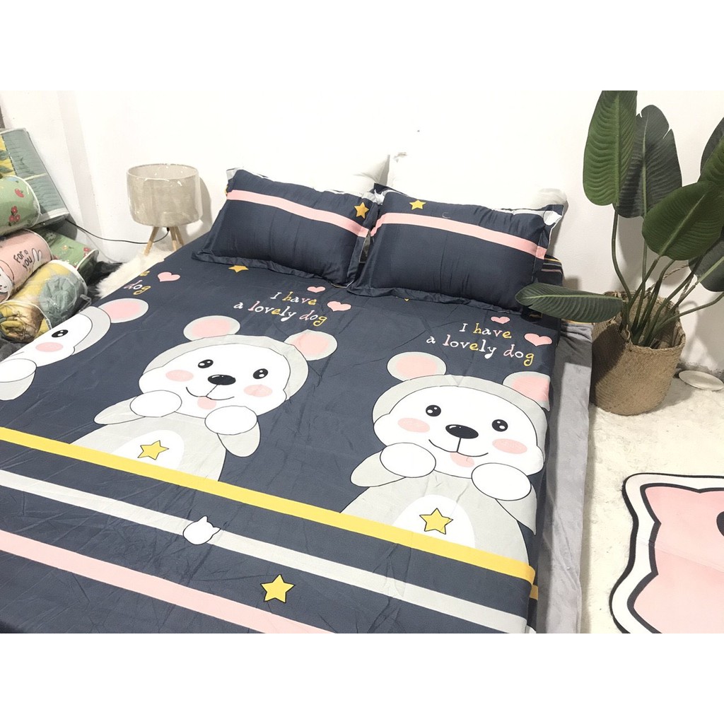 [Free ship-Xả hàng]Ga trải giường,drap ga giường poly cotton,mẫu gấu kẻ vàng