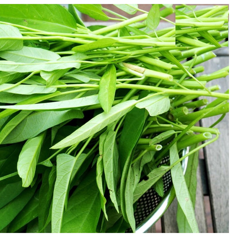 Hat giống rau muống cao sản lá tre KNS1176 - Gói 20gram