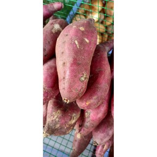 Khoai lang Nhật tươi 1kg