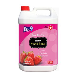 Nước Rửa Tay Premium Hand Soap Mr Fresh Hàn Quốc 5L( Phân phối bởi HANDO )[THƠM -SẠCH]