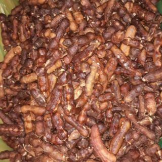 Me Lào chấm muối tôm( 500g)