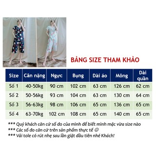 Đồ bộ tole - Đồ bộ lanh lửng tay bèo (40-70kg)