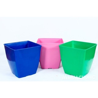 Combo 10 chậu nhựa vuông V20cm