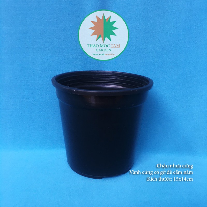 Chậu nhựa dày 15x14cm (Đen bóng) – Chậu nhựa cứng, dày thích hợp trồng cây hoa, lá kiểng, ươm trồng cây.