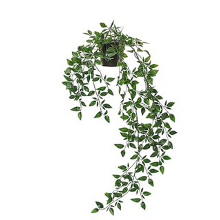 Chậu cây FEJKA IKEA chính hãng ( có sẵn)