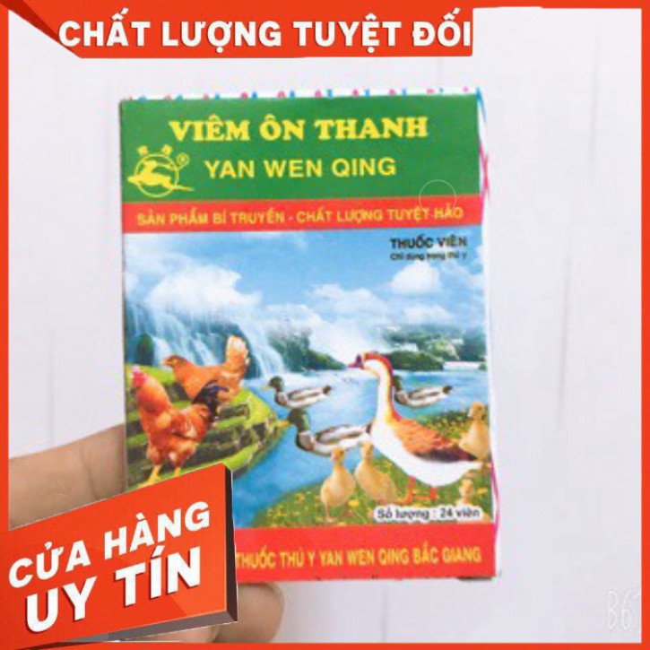 COMBO VIÊM ÔN THANH VÀ FLOSAL D