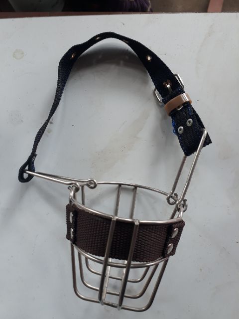 Giọ mõm chó inox cực chất cho thú cưng