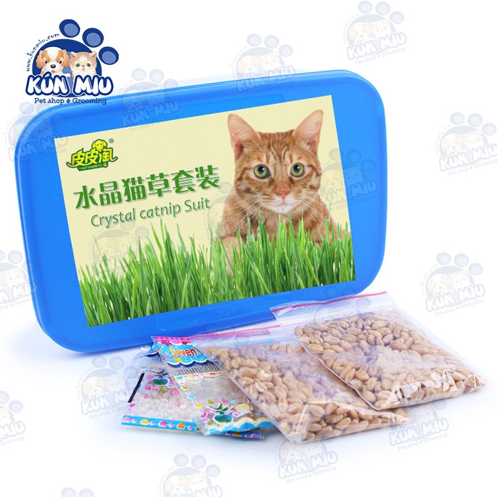 Set hộp hạt giống cỏ trồng và hạt nở giữ ẩm cho mèo Kún Miu (tặng kèm 10gr catnip)