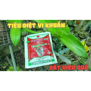 Thuốc đặc trị nấm do vi khuẩn Staner 20WP