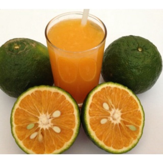 Cam Sành (1 kg ) Hàng chọn