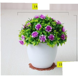 Chậu hoa xinh để bàn