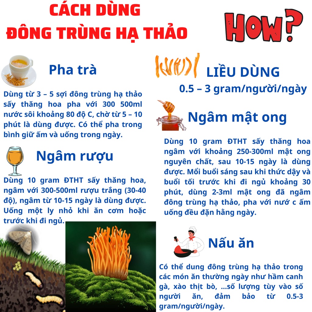 Đông Trùng Hạ Thảo Sấy Thăng Hoa Huỳnh Nguyên loại cao cấp mỗi hộp 10g