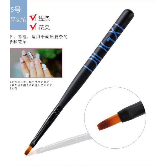 Cọ vẽ hoa cúc Dingxi