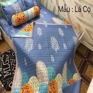 [GIẢM SỐC] SÉT 4 MÓN CHĂN GA GỐI KÈM CHĂN HÈ TRẦN BÔNG NHIỀU MẪU LỰA CHỌN