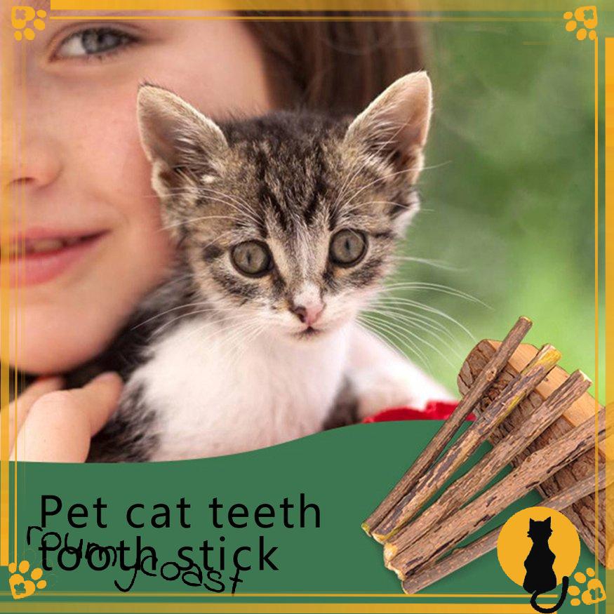Thanh miêu bạc hà Matatabi dành cho mèo làm sạch răng
