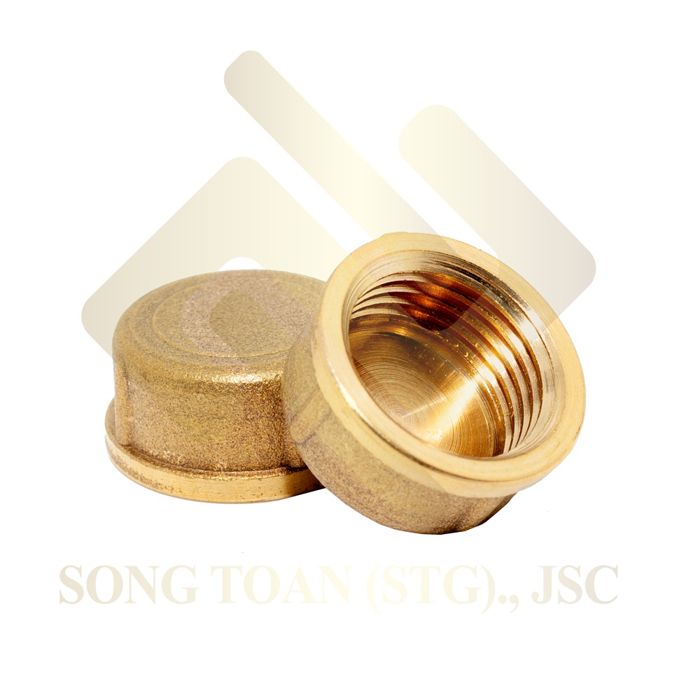 [BỊT REN 21 &amp; 27] Nút đầu bịt ren trong ngặn chặn dòng chảy &amp; khí nén ren BSP - Đồng đúc (Brass pipe plug cap female)