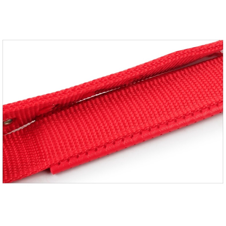 Vòng Cổ Cho Chó Mèo - Chất Liệu Vải Dù Chắc Chắn Kèm Lớp Lót Da Mềm Mại