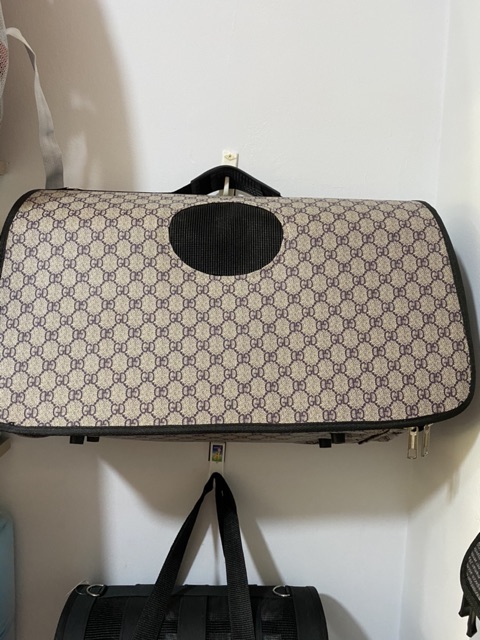 Túi Vận Chuyển Thú Cưng