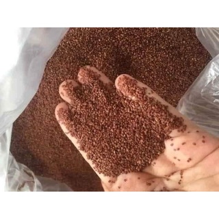 Hạt ngũ hoa 100gr đắp mặt hết mụn trắng trẻo, mịn màng