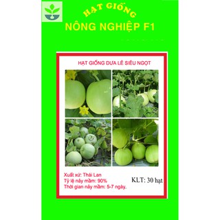 Gói 30 hạt giống dưa lê xanh siêu ngọt