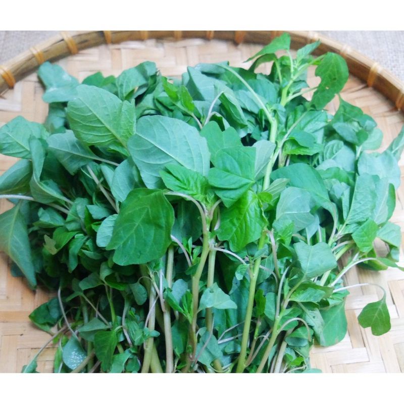 Hạt Giống Rau Dền Cơm ,Dễ trồng,  (5g)