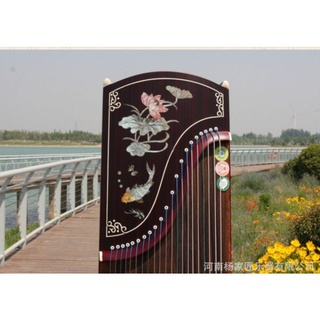 đàn tranh guzheng full 163cm
