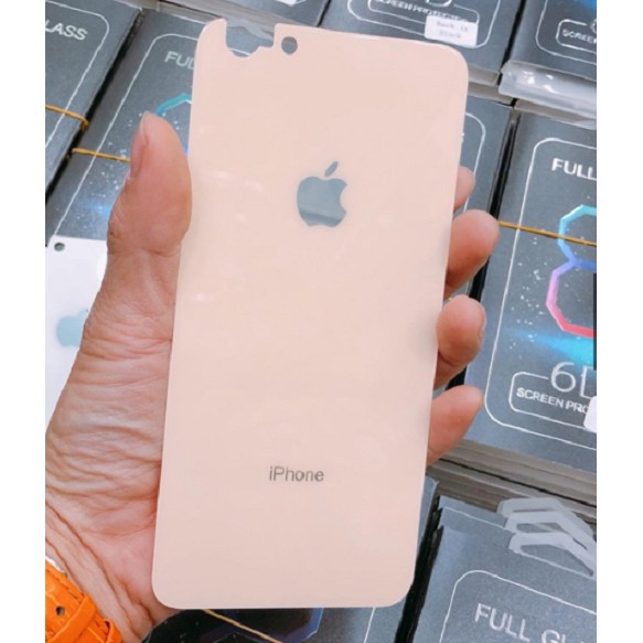 Kính Cường Lực Mặt Sau Cho Các Dòng IPHONE 6 6Plus 7 7Plus 8 8Plus X XS