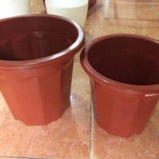 Combo 4 chậu nhựa trồng hoa hồng