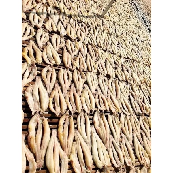 KHÔ CÁ TRA PHÒNG BIỂN HỒ