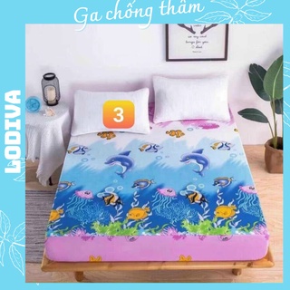 Ga chống thấm cotton 2 trong 1 cotton, sản phẩm siêu hot LODIVA mãCT03